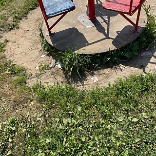 Крик души из Линды 1