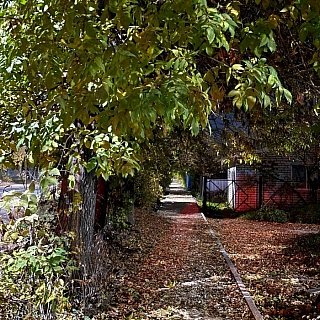 Новости от пресс-службы Борской администрации про асфальт на тротуаре на Интернациональной: 1