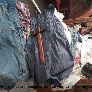 Стали известны первые подробности убийств женщины и ребёнка в городе Бор 2