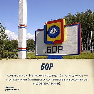 Согласятся ли борчане с авторами всероссийского проекта 1