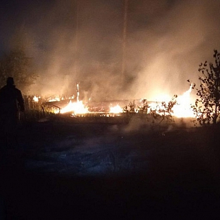 Порой на Бору с нашего молчаливого согласия происходят страшные вещи 1