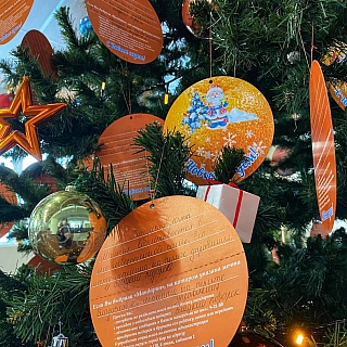 На Бору стартовала ежегодная благотворительная акция «Мандарин» 2