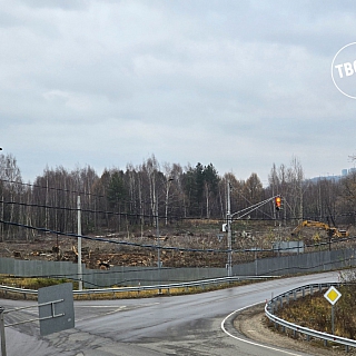 Около озера Бездонное началась вырубка деревьев 3