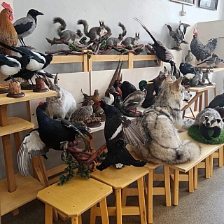 Хорошая новость про художку 1