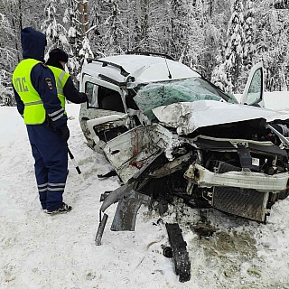 В Борском районе произошла авария, в которой погибли два человека 3