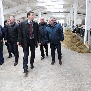 Глеб Никитин: «Поддержка животноводства в 2019 году из областного бюджета увеличена почти на треть» 2