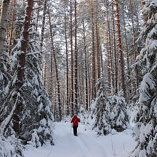 Всемирный день снега отметили в Керженском заповеднике 6