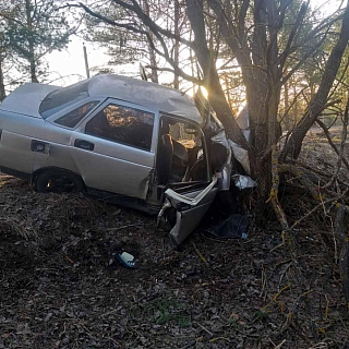 По вине пьяных водителей пострадало несколько человек на Бору 2