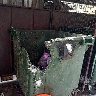 Мусорные вандалы завелись на Бору 1