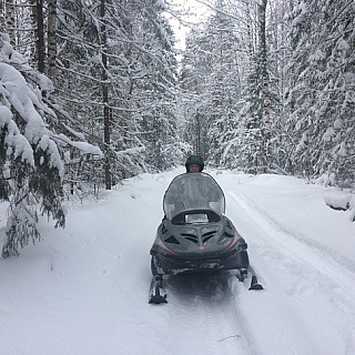 Всемирный день снега отметили в Керженском заповеднике 2