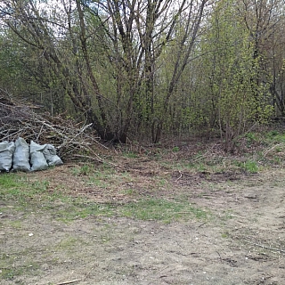 4 мая прошел очередной городской субботник, в преддверии празднования Дня Победы 6