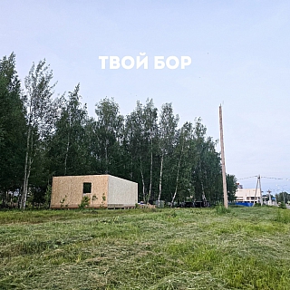На Бору появится «Россия в миниатюре»! 1
