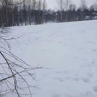 Более 9 тысяч человек проголосовало за борские объекты 6