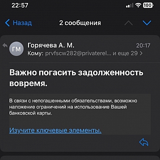Борчанка предупредила о мошенниках 6