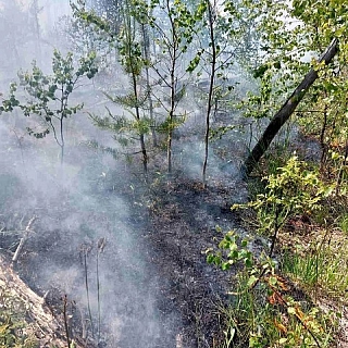 Возгорание от удара молнии ликвидируют в Керженском заповеднике 1