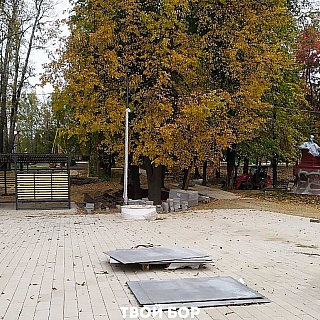 Странное соседство в Борском парке 3