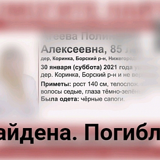 Тела троих без вести пропавших найдены в городе Бор 1