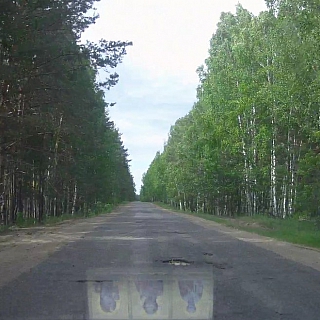 53 борских дороги отмечено на «Карте убитых дорог» 8