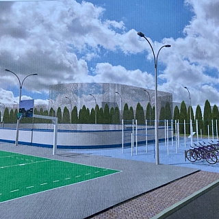 Большепикинское благоустройство. Чего хотят и что мешает. 4