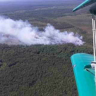 Возгорание от удара молнии ликвидируют в Керженском заповеднике 3