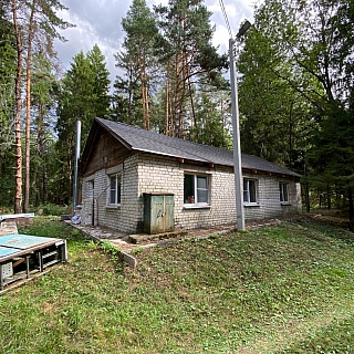 Первый собачий приют готовится к открытию на Бору 2