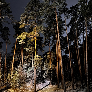 Чарующие кадры с Моховых 1