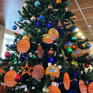 На Бору стартовала ежегодная благотворительная акция «Мандарин» 3