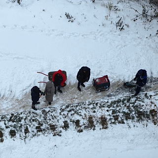 На Бору началось озеленение 2