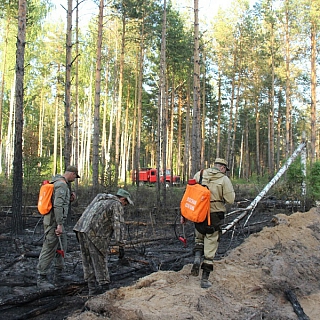 Порой на Бору с нашего молчаливого согласия происходят страшные вещи 3