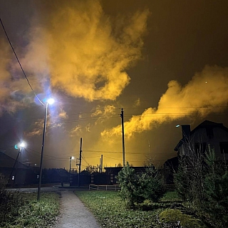 Борские теплицы способствуют творчеству 3