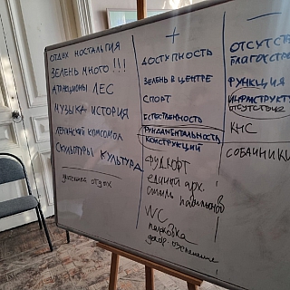 Жаркие споры по городскому парку разворачиваются на Бору 2