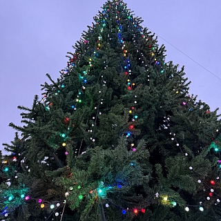 Бор продолжает преображаться к Новому году 2