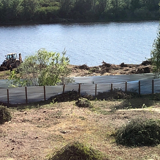 В микрорайоне Прибрежный вырубается берёзовая роща 1