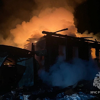 Женщина погибла на пожаре в деревне Попово Борского района 2