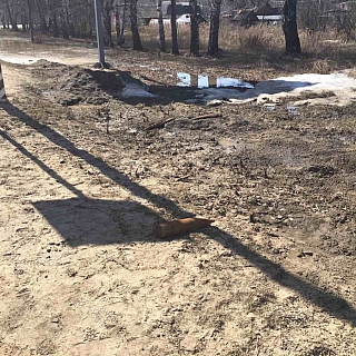 Три боевых снаряда нашли рядом с оживленной трассой на Бору 2