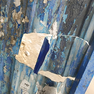 Борчанка решила действовать! 1