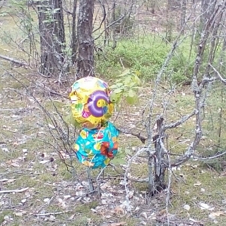 Опасная красота в Керженском заповеднике 2