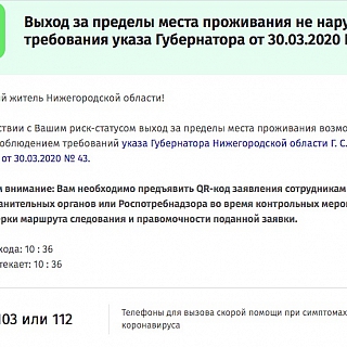 Для выхода из дома жителям Бора следует получить специальное подтверждение! 8