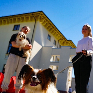 Хвостатый праздник: фестиваль «Мир собак» на площади ЦВР «Алиса» 3