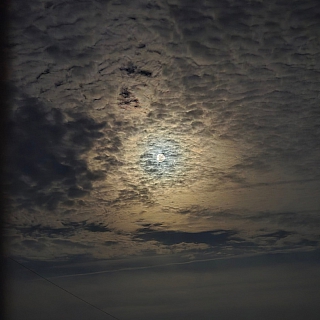 Луна удивляла борчан 3