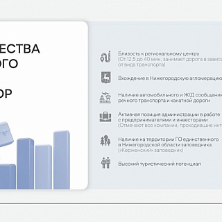 У Бора есть инвестиционный паспорт 9