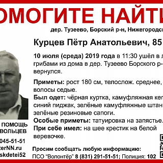 85-лет­ний Петр Кур­цев ушел за гри­ба­ми и про­пал в Бор­ском рай­оне 1
