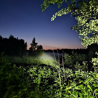 Двое мужчин потерялись в борском лесу 7