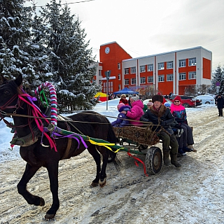 Масленица прошла в Борском округе 6