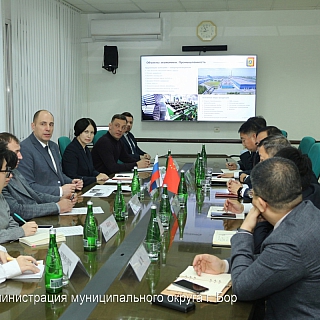 На Бор приезжали китайцы 2