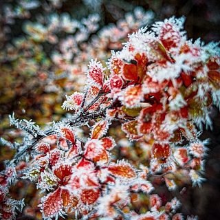 Между осенью и зимой 5