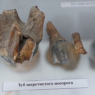 Давно хотели рассказать об одном замечательном человеке, память о котором должна оставаться на Бору всегда 1