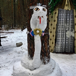 Змея появилась на Моховых 1