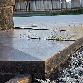 Благоустройство Аллеи ветеранов на Стекольном продолжается 2