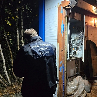 Следственный комитет Нижегородской области: 2